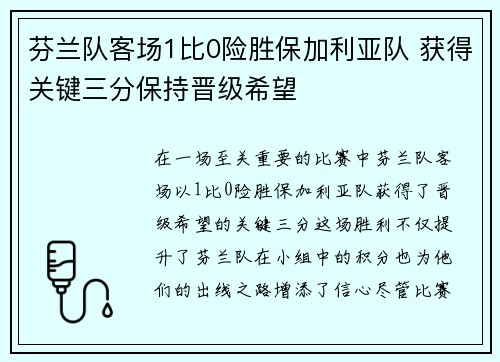 芬兰队客场1比0险胜保加利亚队 获得关键三分保持晋级希望