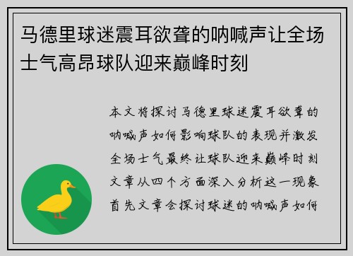 马德里球迷震耳欲聋的呐喊声让全场士气高昂球队迎来巅峰时刻